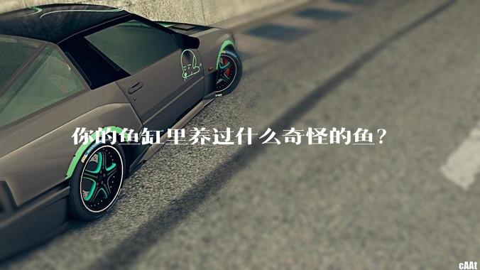 你的鱼缸里养过什么奇怪的鱼?