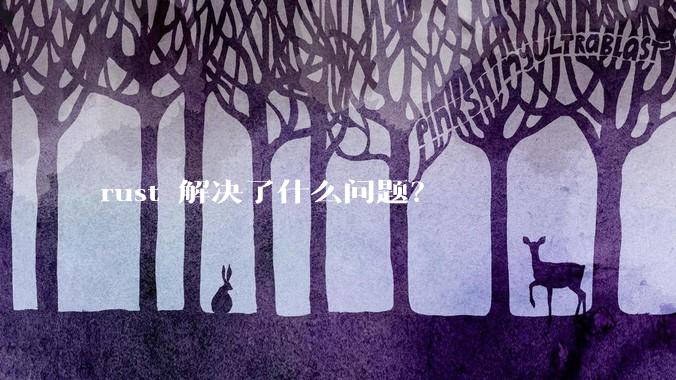 rust 解决了什么问题？