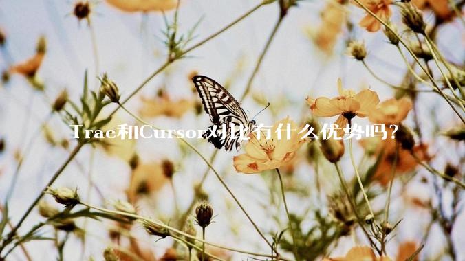 Trae和Cursor对比有什么优势吗?