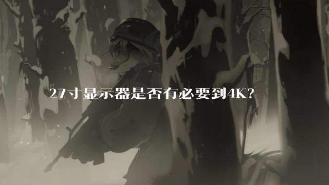 27寸显示器是否有必要到4K?