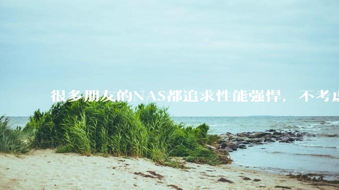很多朋友的NAS都追求性能强悍,不考虑能耗吗?