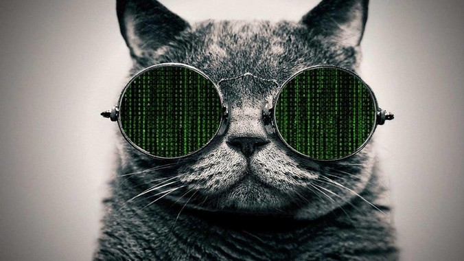 Rust 的设计缺陷是什么？